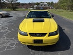 2002 Ford Mustang GT