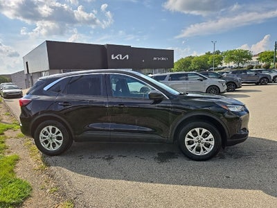 2024 Ford Escape Active AWD