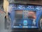 2022 Ford Expedition Max Limited 4WD
