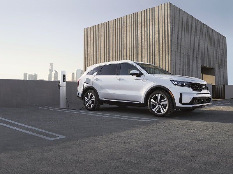 Explore Bradford Woods PA 